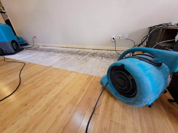 Professional Burst Pipe Water Damage technician working in Churchville, PA